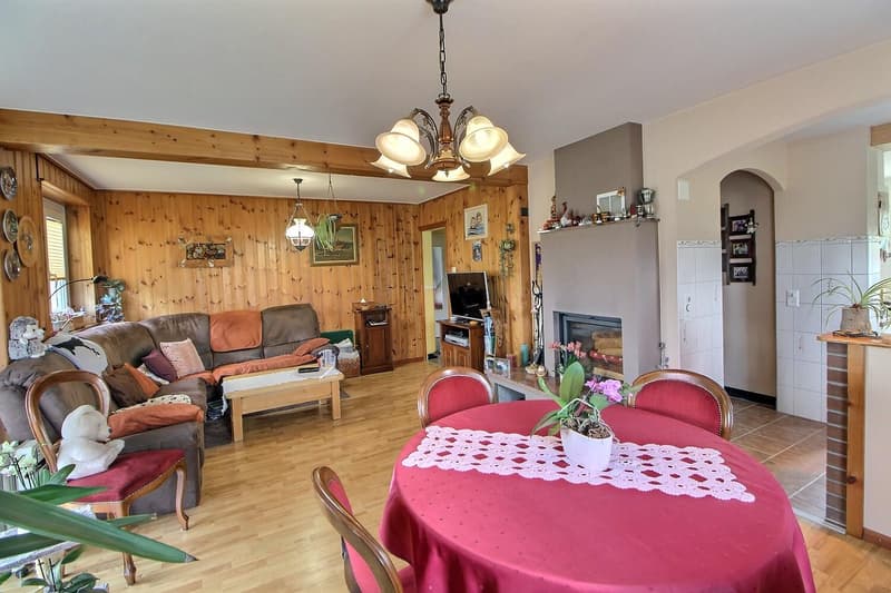Grande casa familiare in viager occupata senza affitto limitata a 5 anni (4)