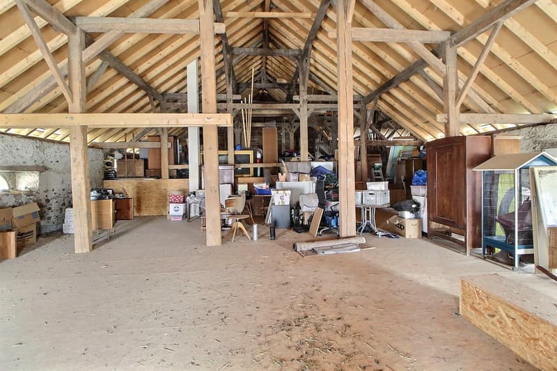 Grande casa in viager, semi-occupata, senza affitto, con grande potenziale (12)