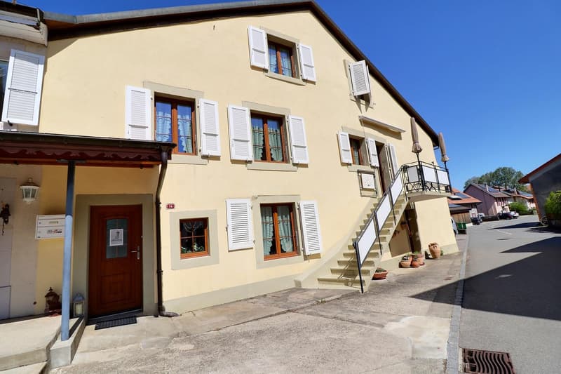 Jolie maison de village en viager occupé sans rente (2)