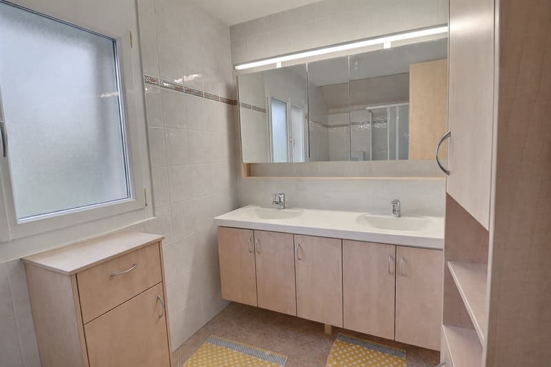 Beautiful and large single-family house in viager occupied without rent limited to 7 years (10)