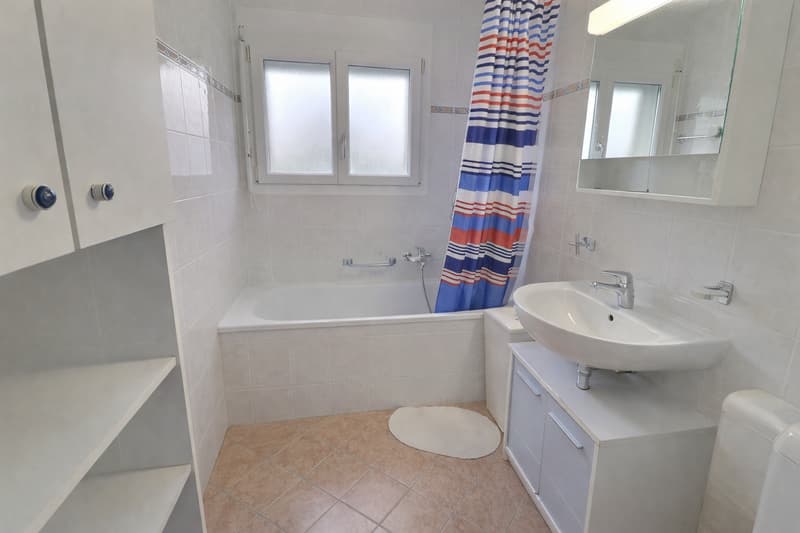 Beautiful and large single-family house in viager occupied without rent limited to 7 years (11)