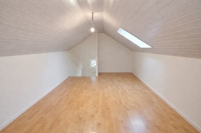 Beautiful and large single-family house in viager occupied without rent limited to 7 years (12)