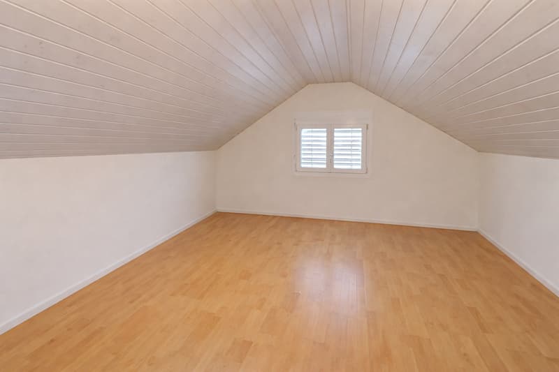 Beautiful and large single-family house in viager occupied without rent limited to 7 years (13)