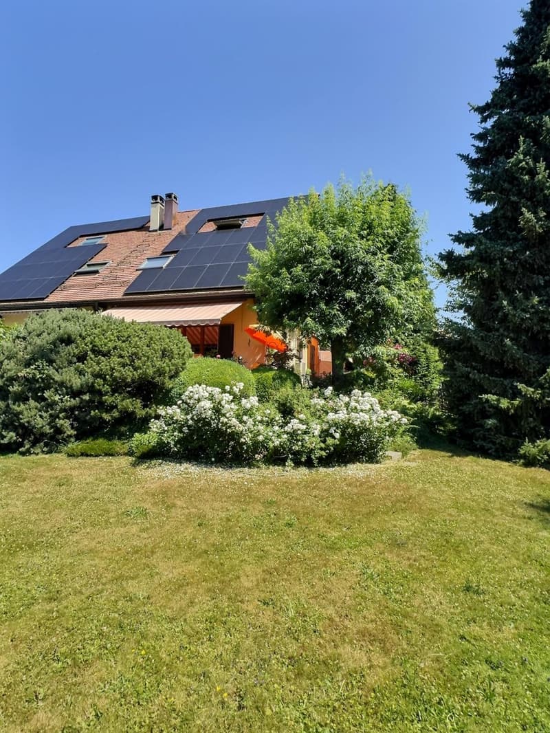 Beautiful house in viager occupied without rent (4)