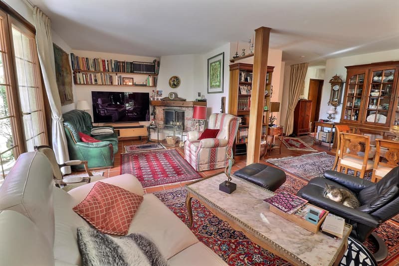 Beautiful house in viager occupied without rent (10)