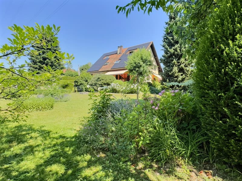 Beautiful house in viager occupied without rent (6)