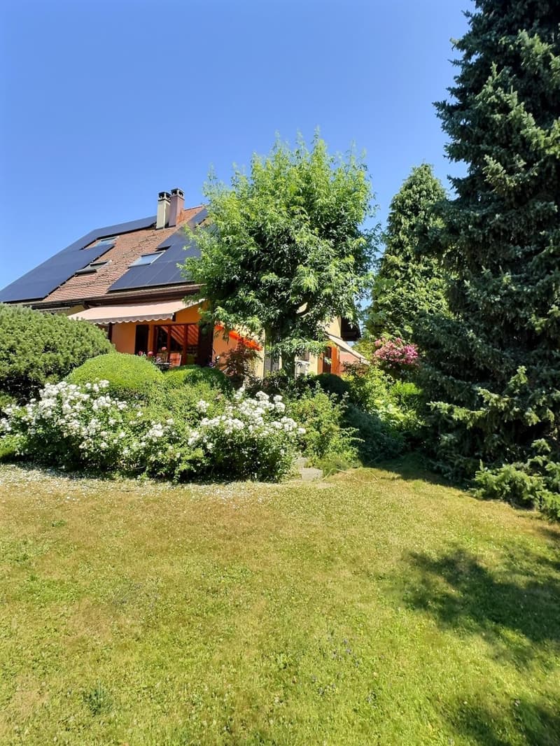 Beautiful house in viager occupied without rent (5)