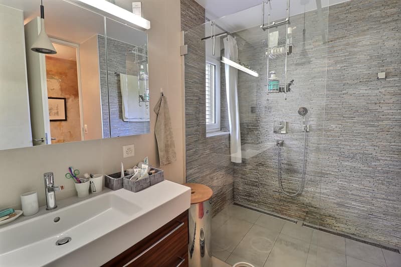 Bellissimo appartamento in viager con piscina e vista lago (10)