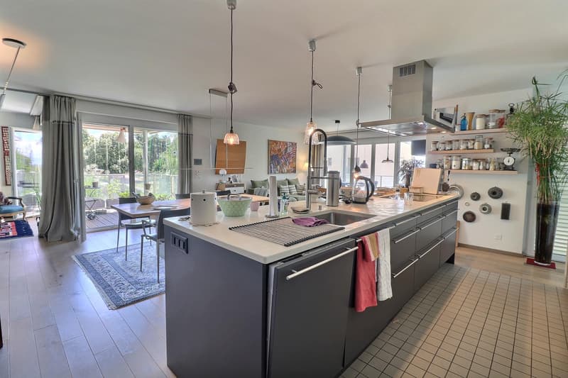 Bellissimo appartamento in viager con piscina e vista lago (2)