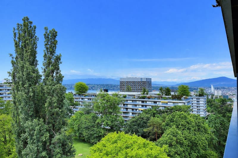 Schönes Apartment in höherem Stockwerk mit Pool in Viager besetzt ohne Rente (2)