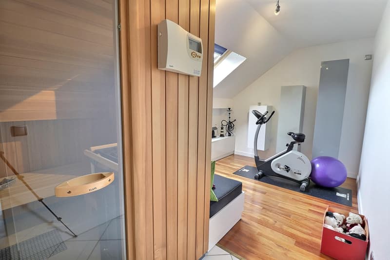 Superbe Attique in Viager, bewohnt mit Rente (9)