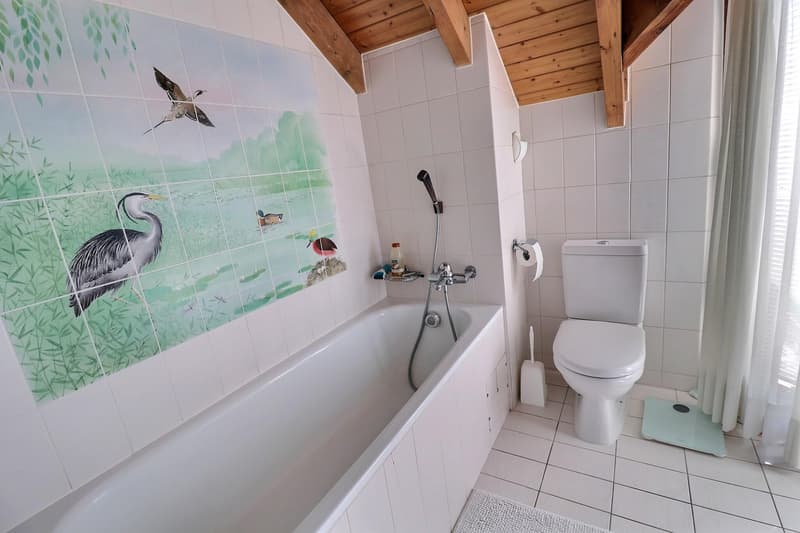 Prachtiges Dachgeschoß-Duplex in Viager, bewohnt ohne Rente (11)