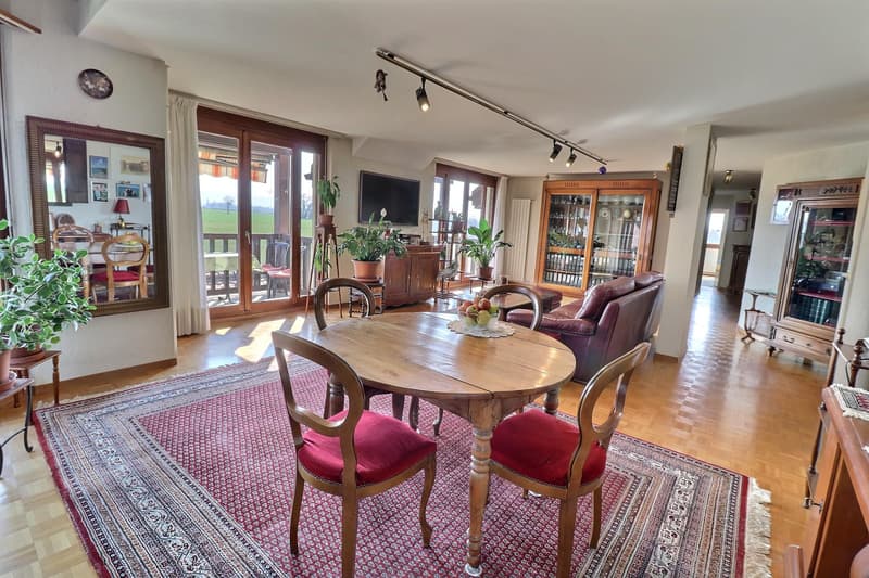Prachtiges Dachgeschoß-Duplex in Viager, bewohnt ohne Rente (1)
