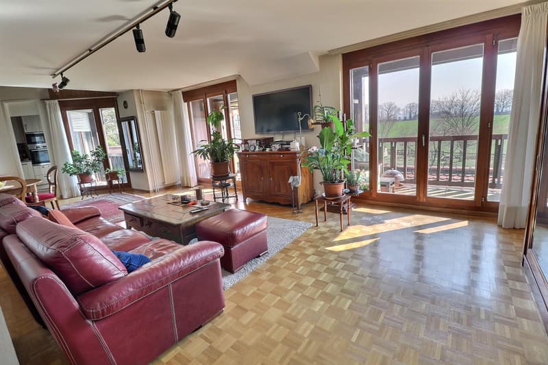 Prachtiges Dachgeschoß-Duplex in Viager, bewohnt ohne Rente (3)