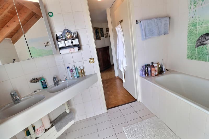 Prachtiges Dachgeschoß-Duplex in Viager, bewohnt ohne Rente (12)