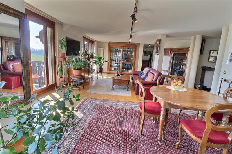 Prachtiges Dachgeschoß-Duplex in Viager, bewohnt ohne Rente (2)