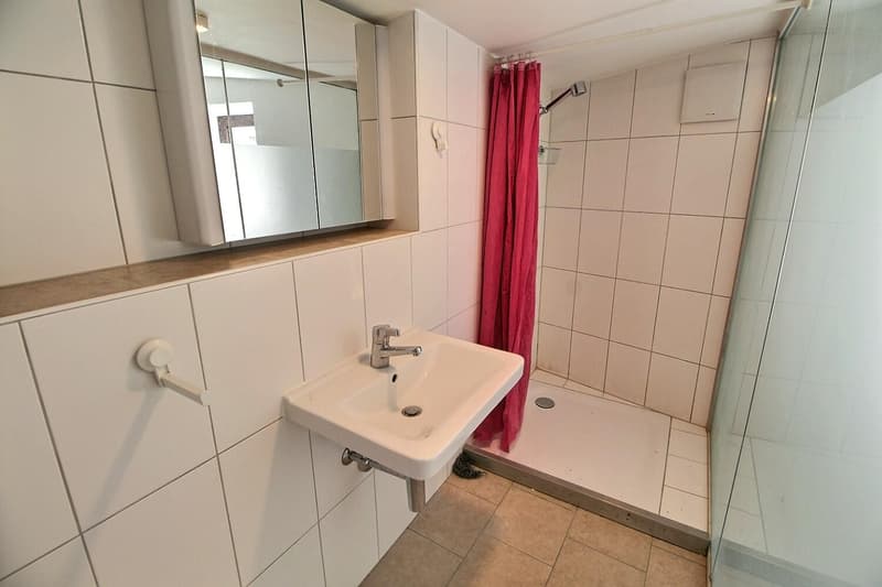 Grande maison en viager semi-occupé sans rente avec grand potentiel (13)