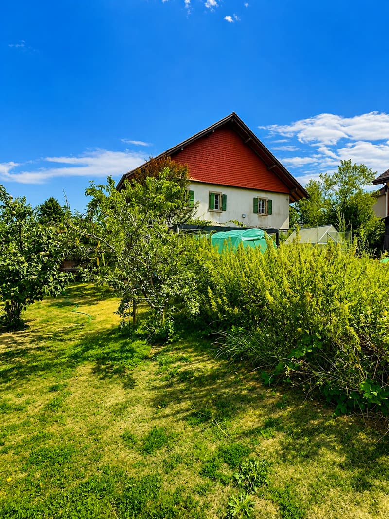 Grande maison en viager semi-occupé sans rente avec grand potentiel (5)