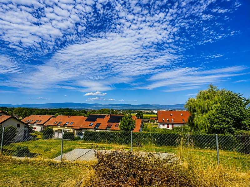 Grande maison en viager semi-occupé sans rente avec grand potentiel (6)