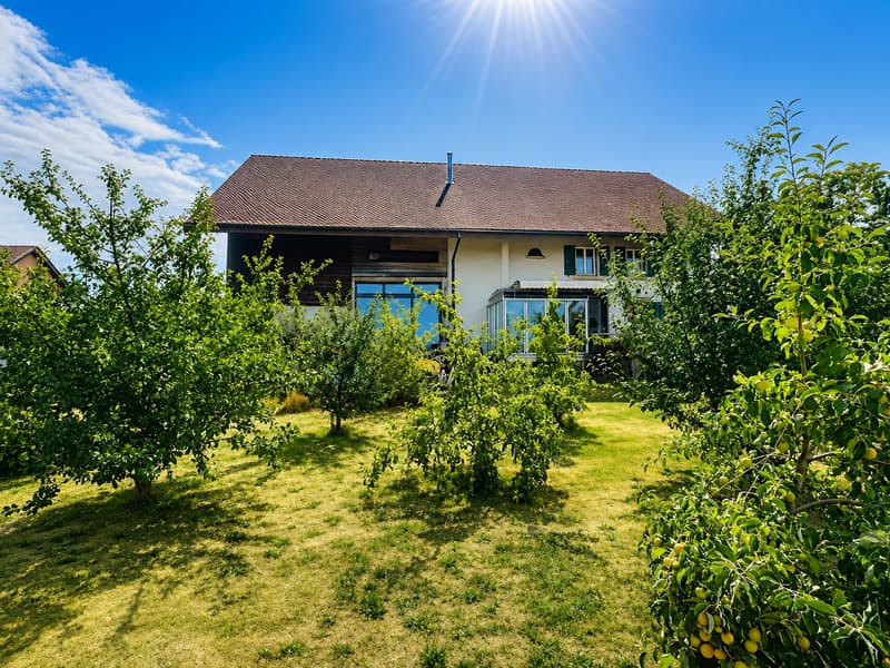 Grande maison en viager semi-occupé sans rente avec grand potentiel (4)