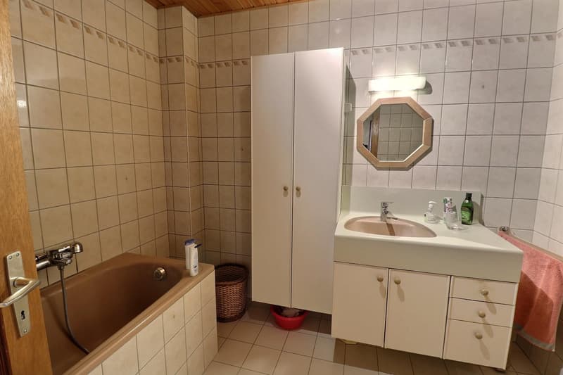 Jolie maison de village en viager occupé sans rente (8)