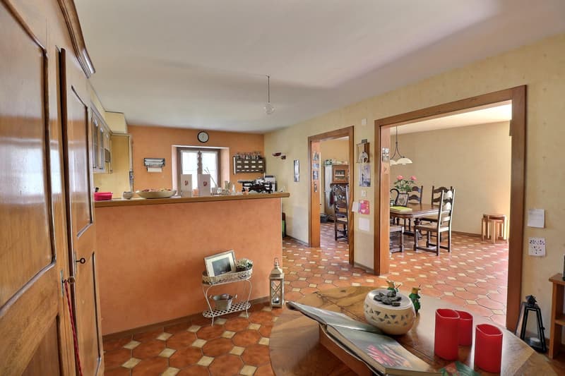 Jolie maison de village en viager occupé sans rente (4)
