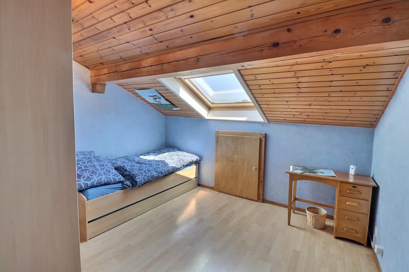 Jolie maison de village en viager occupé sans rente (7)