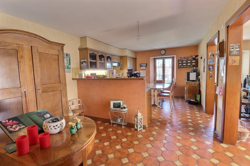 Jolie maison de village en viager occupé sans rente (3)