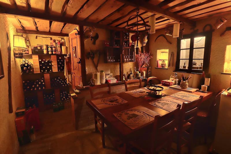 Magnifique appartement en viager occupé sans rente. (10)