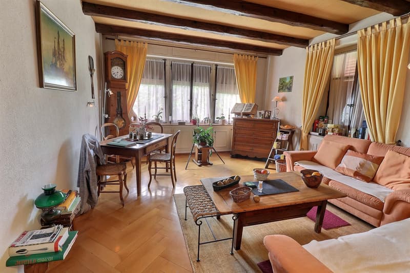 Magnifique appartement en viager occupé sans rente. (6)
