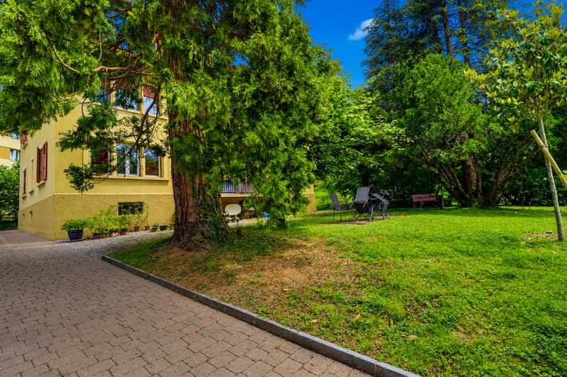 Magnifique appartement en viager occupé sans rente. (2)
