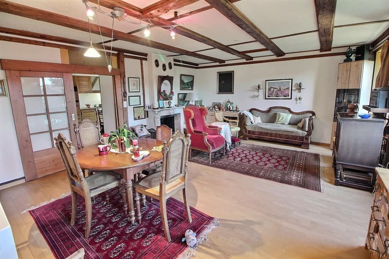 Jolie maison en viager occupé sans rente (6)