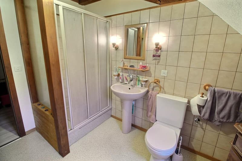 Jolie maison en viager occupé sans rente (13)