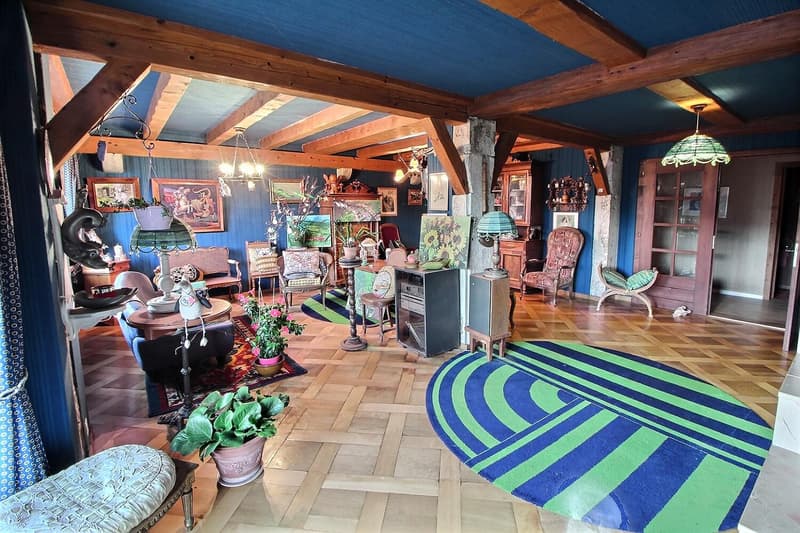 Jolie maison en viager occupé sans rente (7)