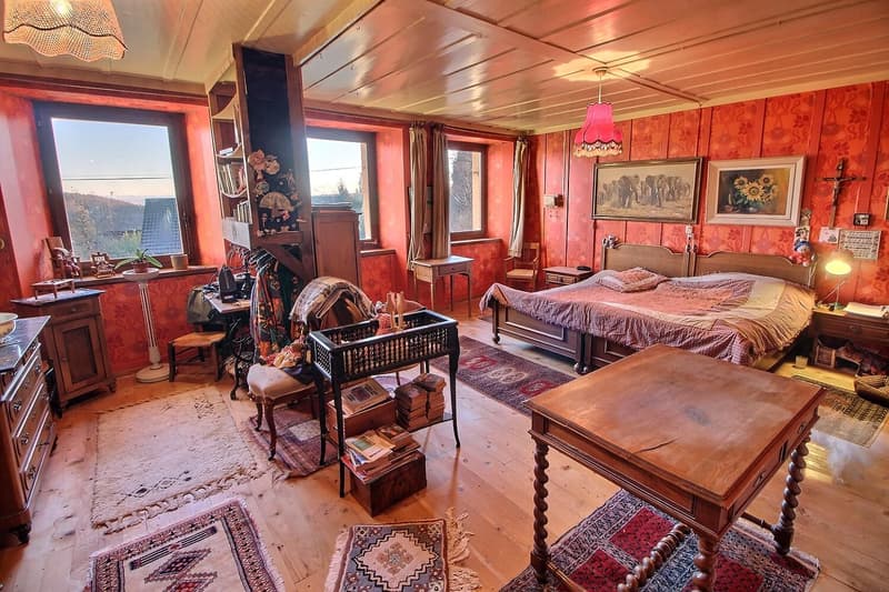 Jolie maison en viager occupé sans rente (9)