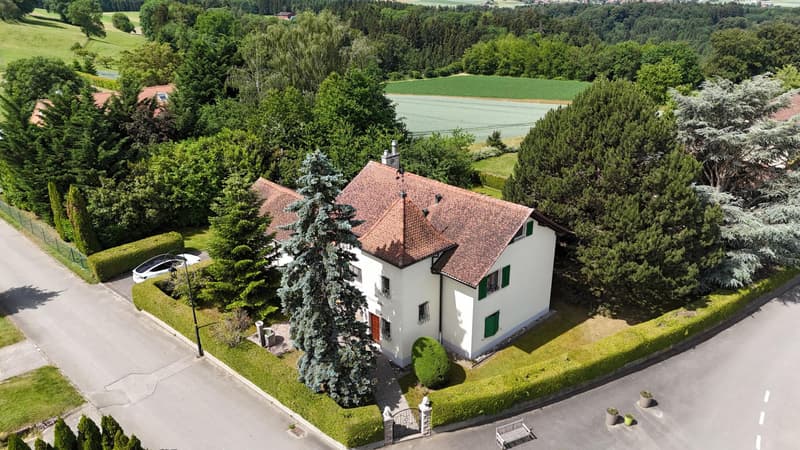 Magnifique maison individuelle en viager occupé sans rente avec vue sur le Jura (1)
