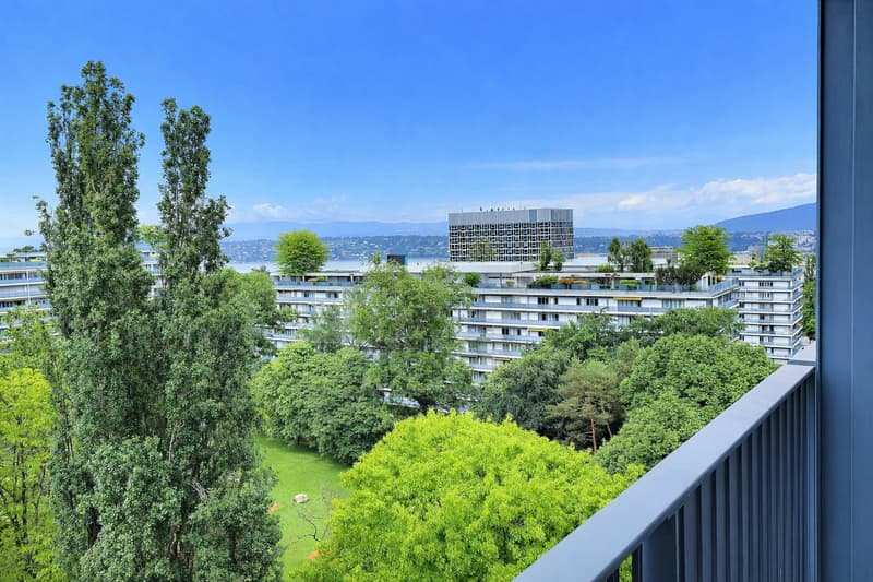 Superbe appartement en étage élevé avec piscine en viager occupé sans rente (2)