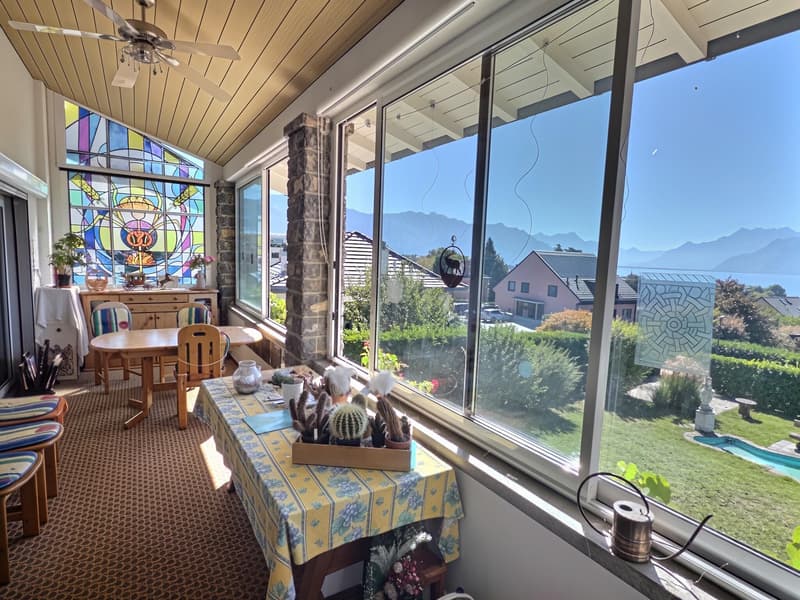Maison en viager occupé sans rente avec vue Lac (2)