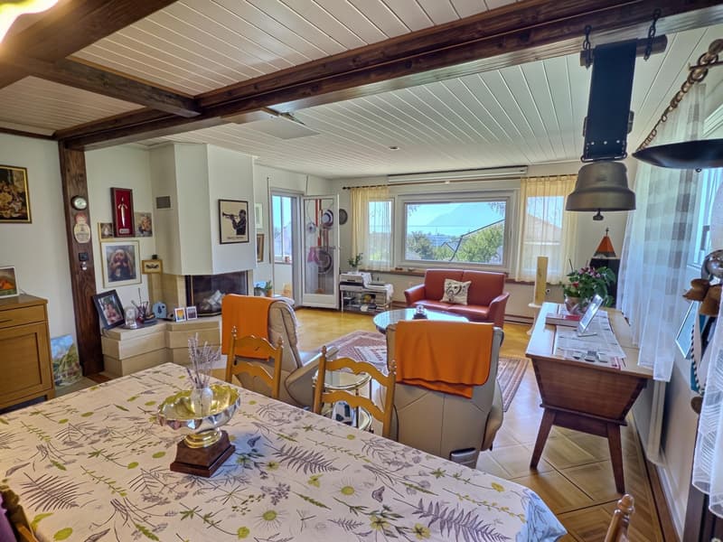 Maison en viager occupé sans rente avec vue Lac (6)