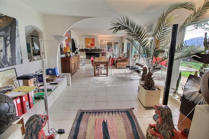 Superbe maison individuelle avec vue Lac en viager occupé sans rente (2)