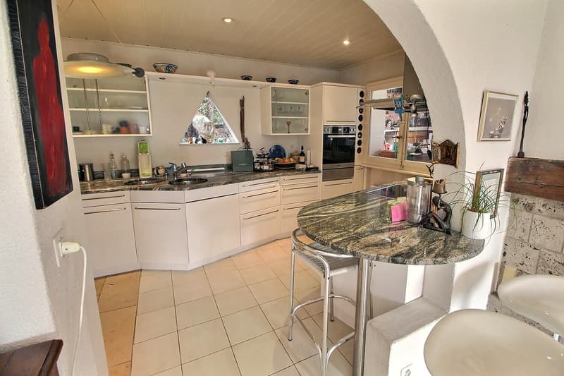 Superbe maison individuelle avec vue Lac en viager occupé sans rente (1)