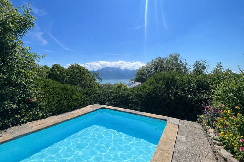 Superbe maison individuelle avec vue Lac en viager occupé sans rente (12)