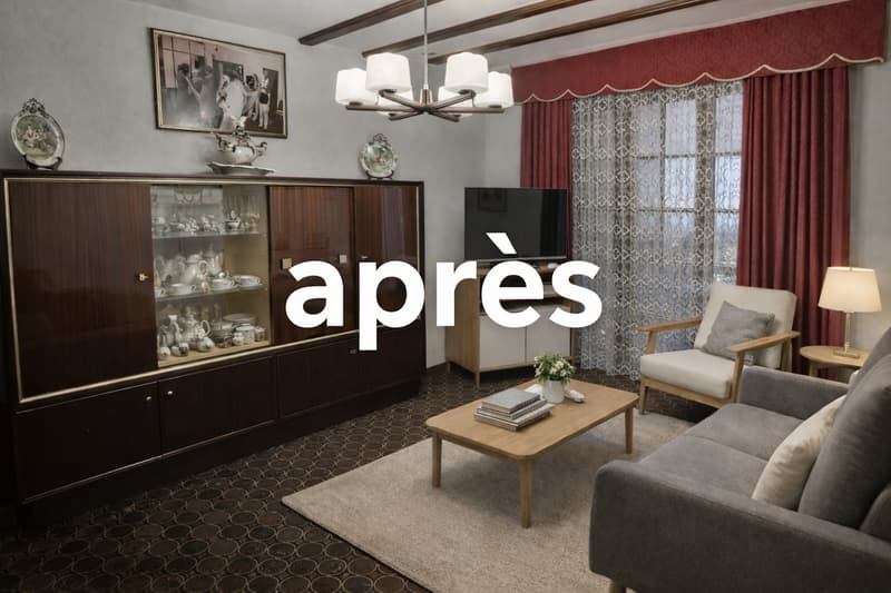 Très grande maison individuelle à Cugy en viager semi occupé sans rente (12)