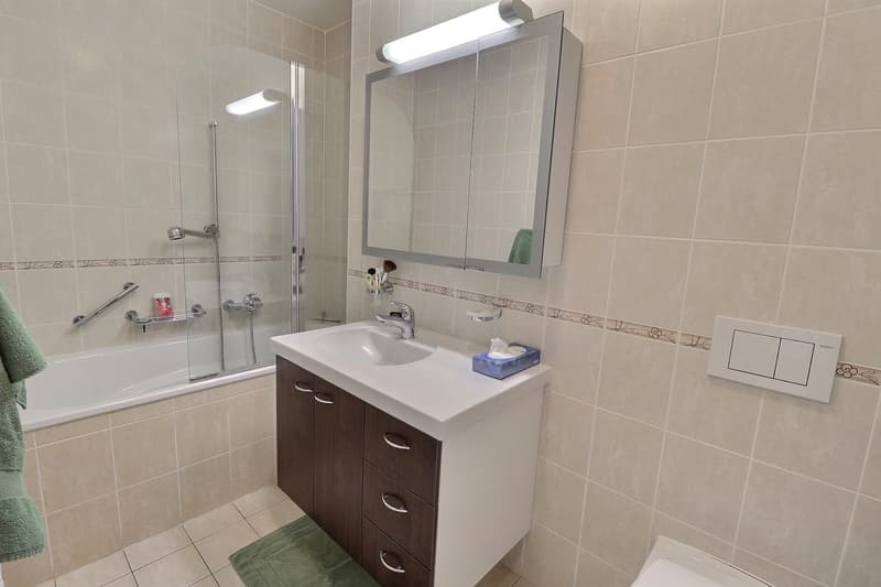Magnifique appartement en viager occupé sans rente (9)