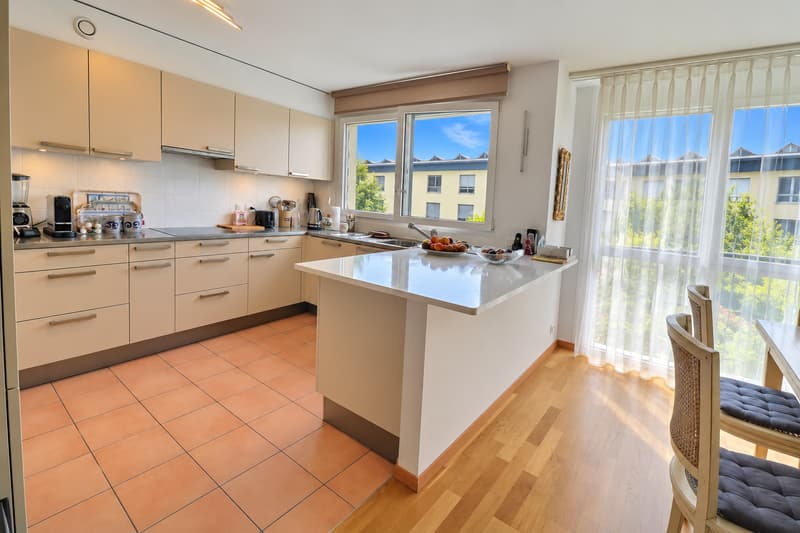 Magnifique appartement en viager occupé sans rente (1)