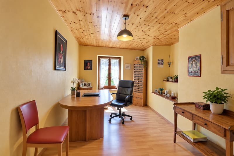 Jolie maison de village en viager occupé sans rente (8)