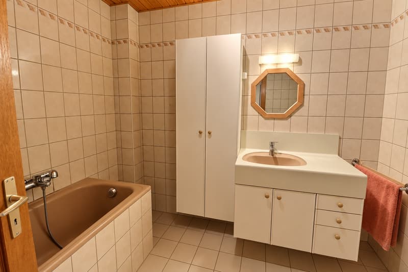 Jolie maison de village en viager occupé sans rente (10)