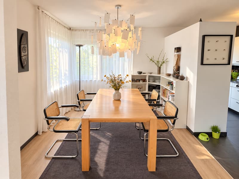 Deux magnifiques appartements en viager semi-occupé sans rente avec rendement. (7)