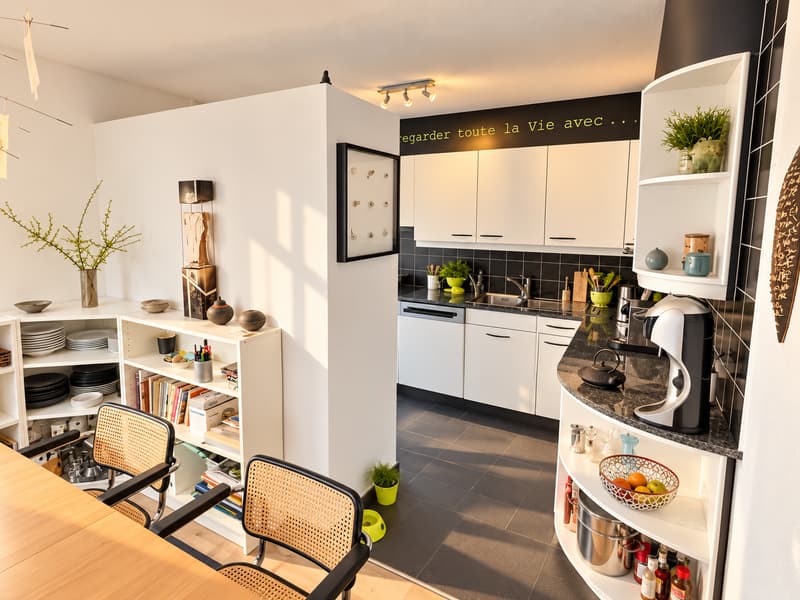 Deux magnifiques appartements en viager semi-occupé sans rente avec rendement. (6)