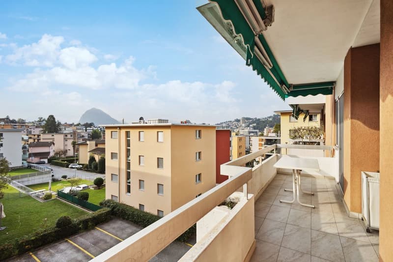 Lugano - Bell' appartamento in vendita (8)